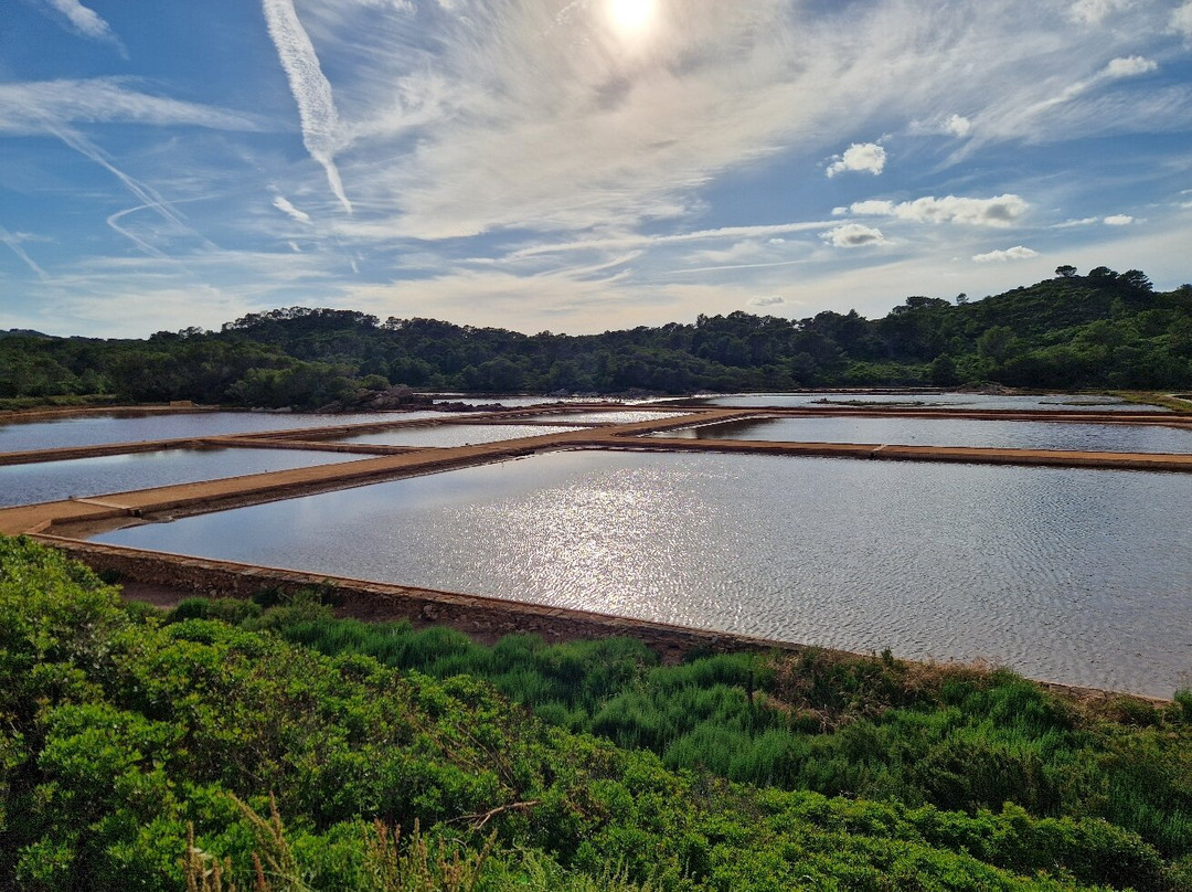 Sal de Menorca - Salinas de La Concepción-Mercadal必去景点