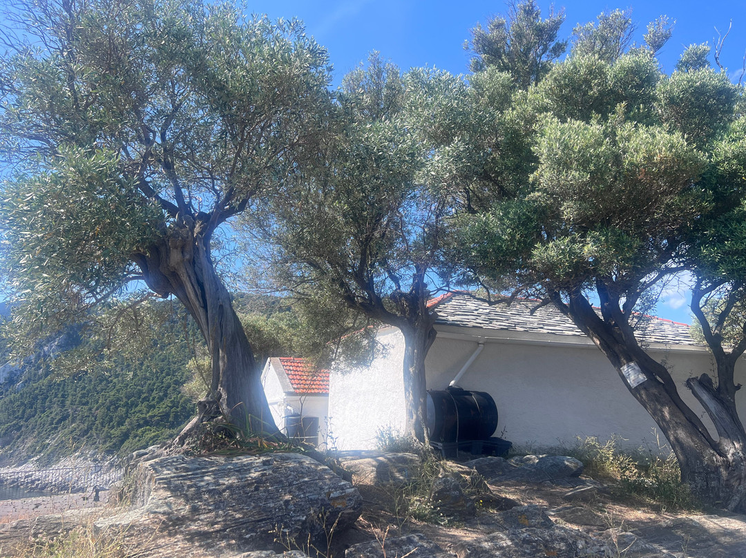 Skopelos Taxi & Tour Services - Zahos Stamoulis-Skopelos Town必去景点