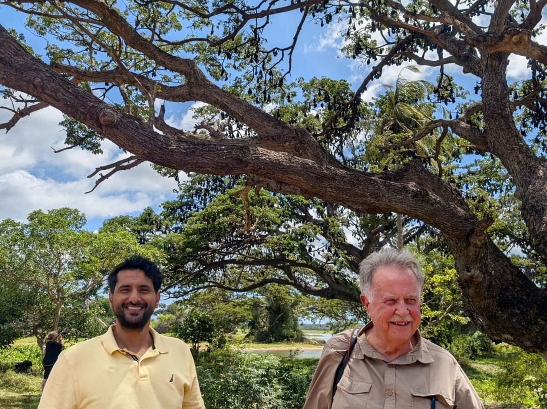 Darshana Tours - Private Driver Sri Lanka-尼甘布必去景点