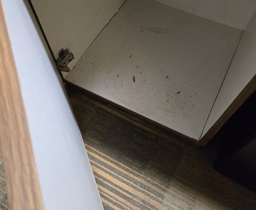 智选假日套房酒店牛津主图