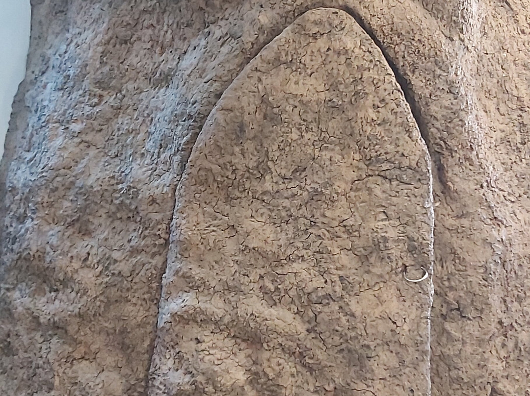 The Natural History Museum of Crete-伊拉克利翁必去景点