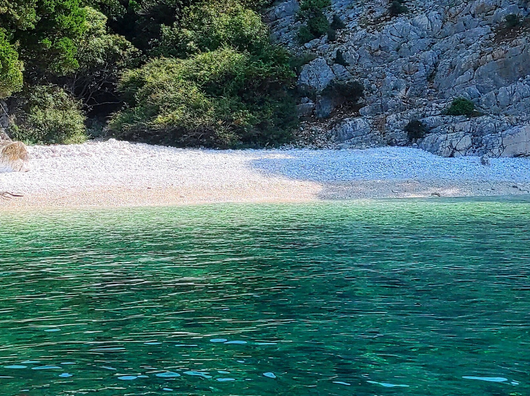 Ema & Marlin Boat Tours, Opatija-欧帕提亚必去景点