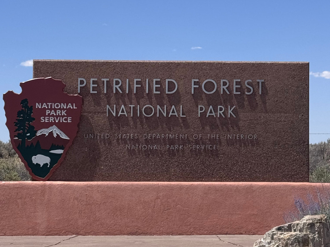 Painted Desert-石化林国家公园必去景点