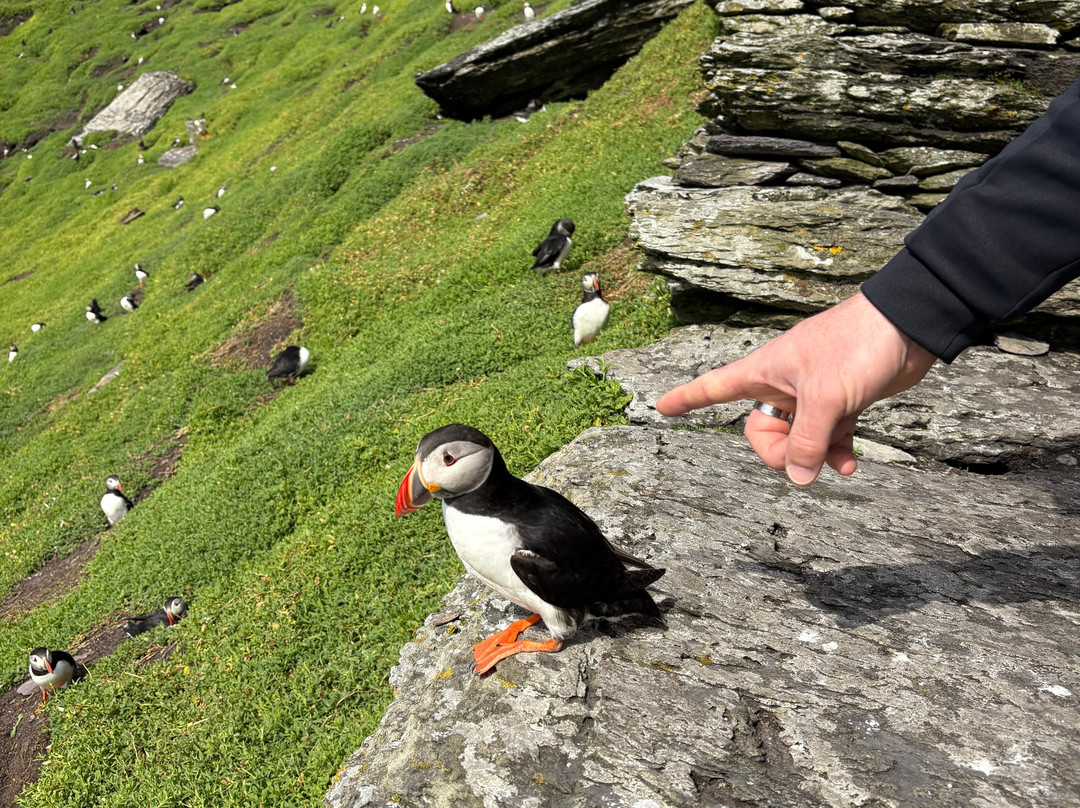 Skellig Michael Landing Tours on Force Awakens-Ballinskelligs必去景点