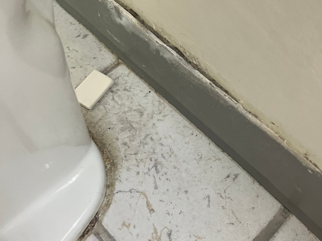 康科迪亚速8酒店主图