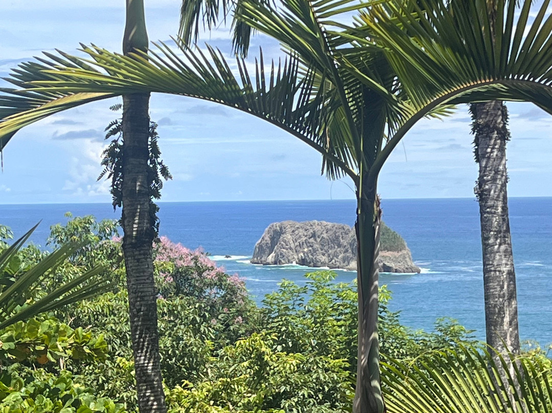 My Costa Rica-圣何塞必去景点