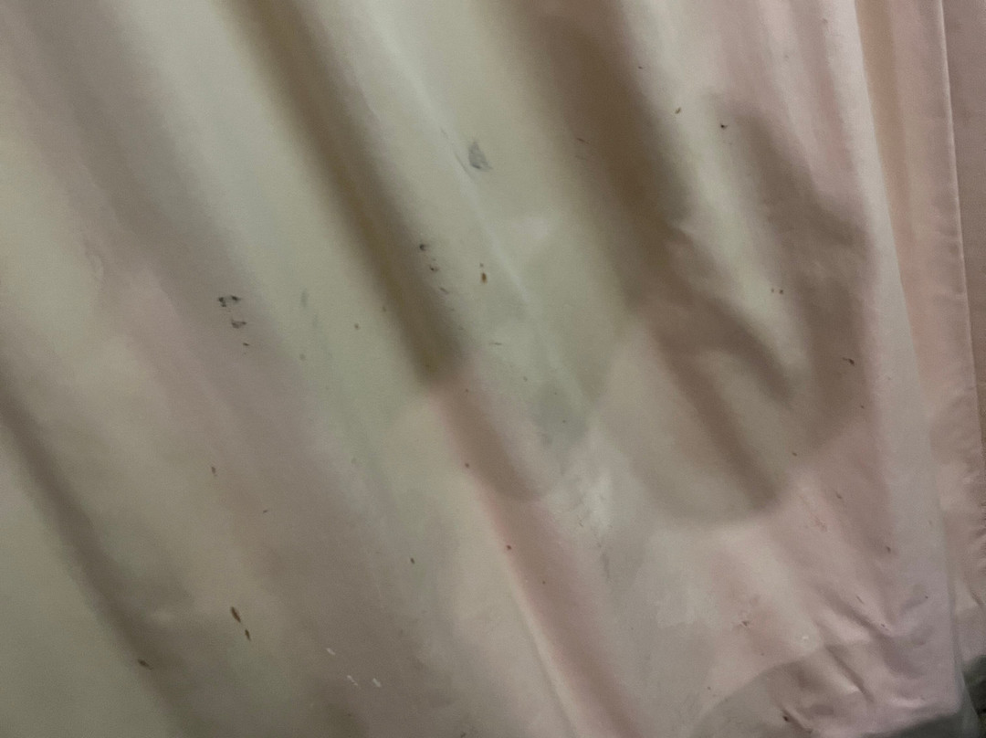 博威克庄园酒店主图