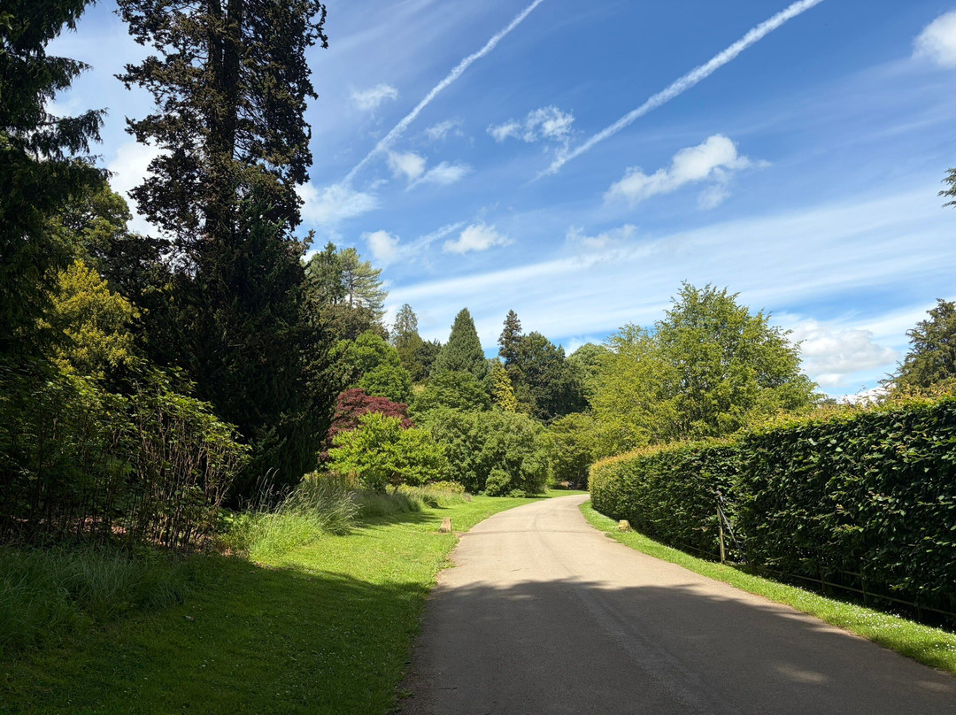Batsford Arboretum-莫顿因马什必去景点