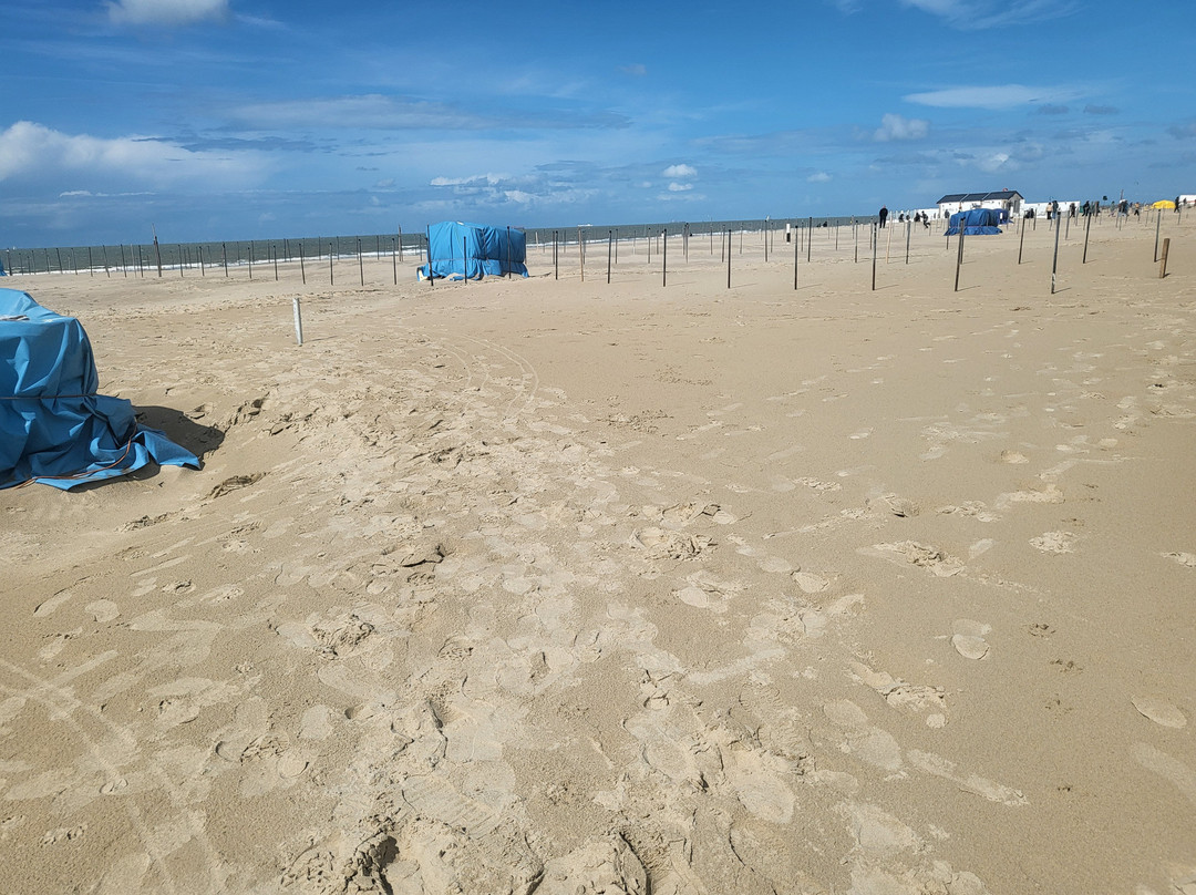 Beach De Haan-德韩必去景点