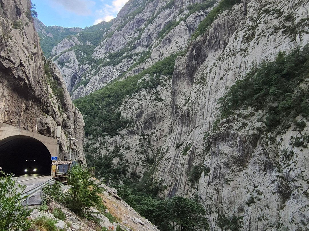 My Montenegro Tours-科托尔必去景点