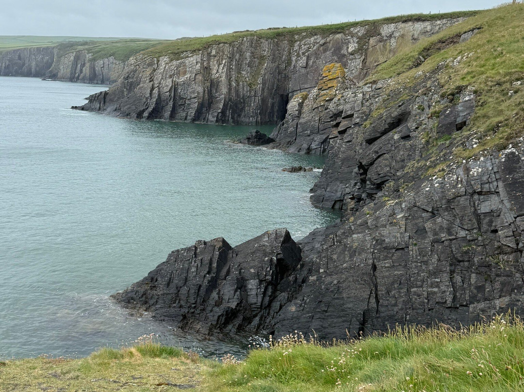 Cardigan Island Coastal Farm Park-Cardigan必去景点
