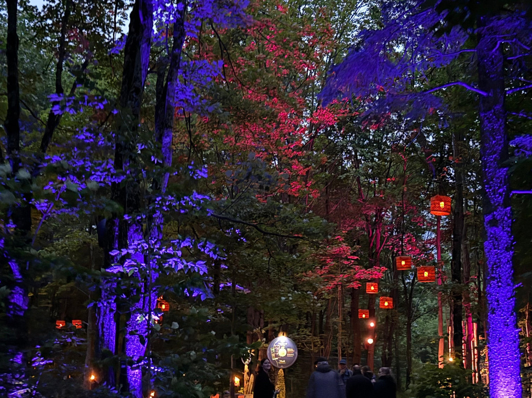 Onhwa' Lumina-温达基必去景点