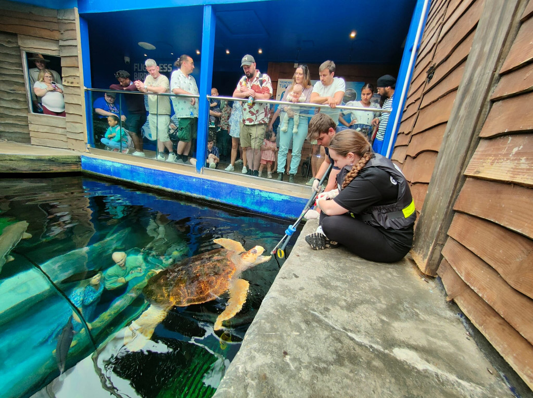 Oceanarium-伯恩茅斯必去景点