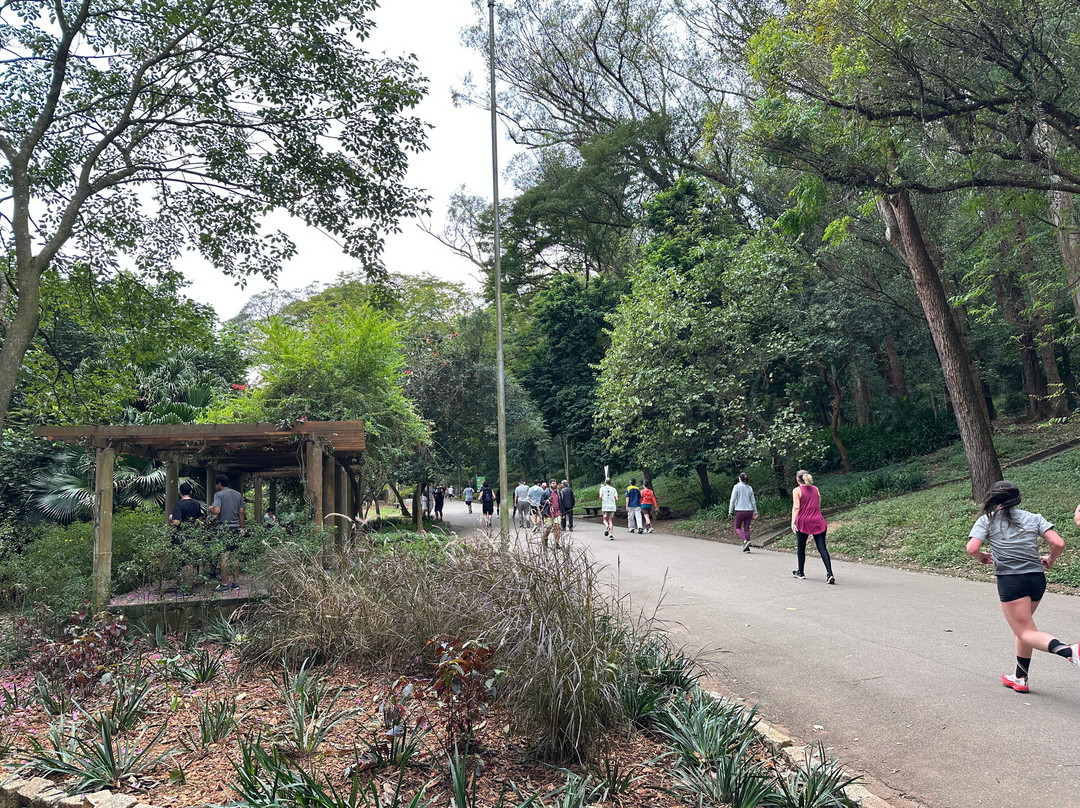Parque da Aclimação-圣保罗必去景点