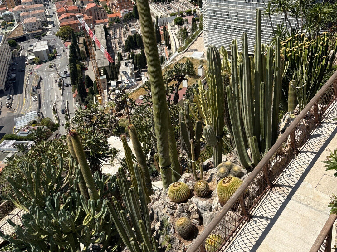 Jardin Exotique de Monaco-摩纳哥城必去景点
