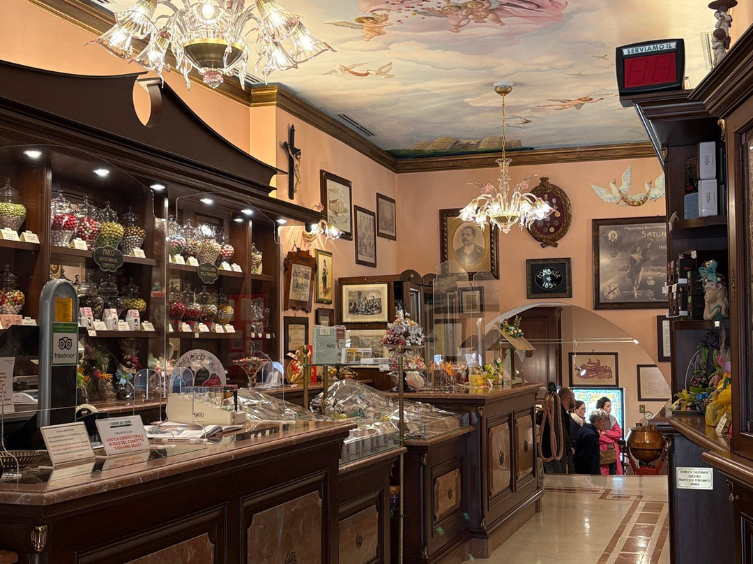 Museo Del Confetto Mucci Giovanni-安德里亚必去景点