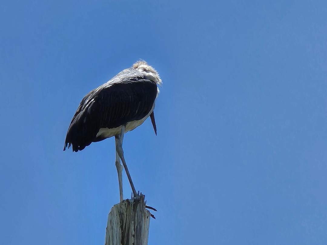 Lake Naivasha-Karagita必去景点