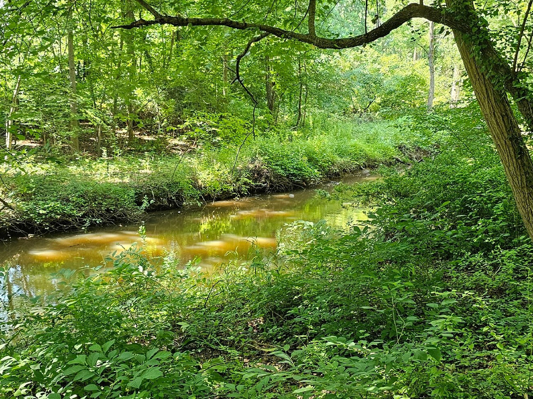 Robert Copenhaver Park-Joppa必去景点
