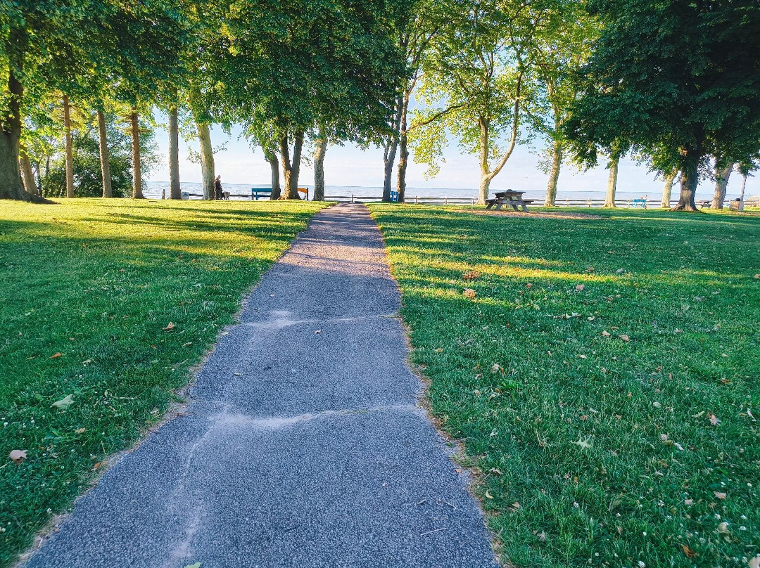 Township Park-Madison必去景点