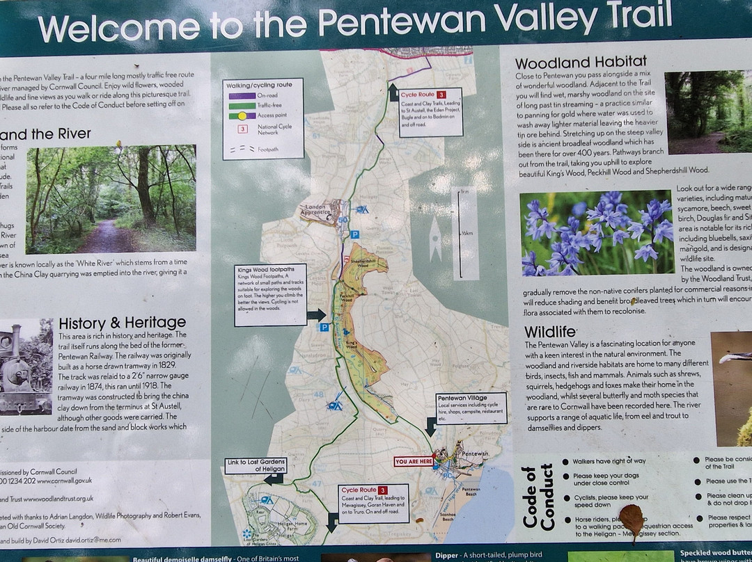 King's Wood-Pentewan必去景点