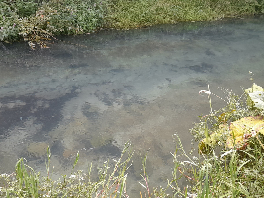 Parco Fluviale delle Acquevive-Taranta Peligna必去景点