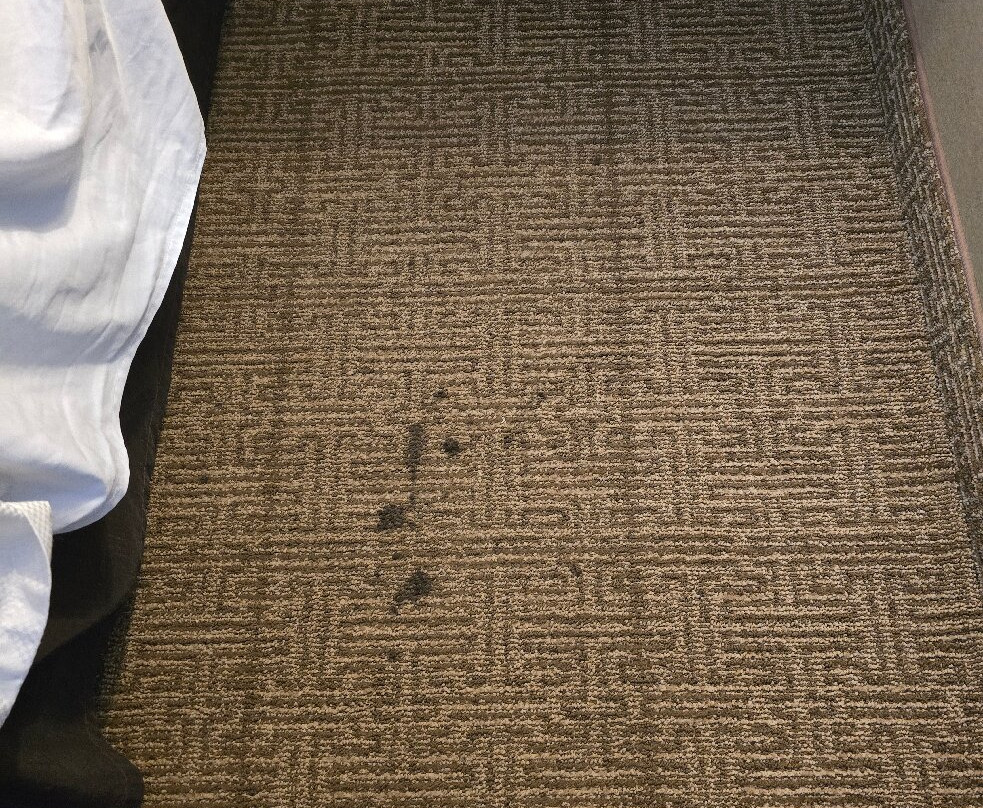 舒适酒店主图