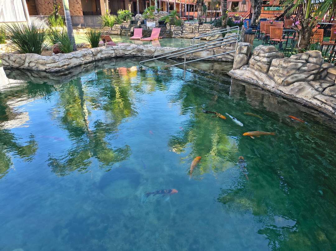 Carpe Diem Eco Resort 奥林匹亚主图
