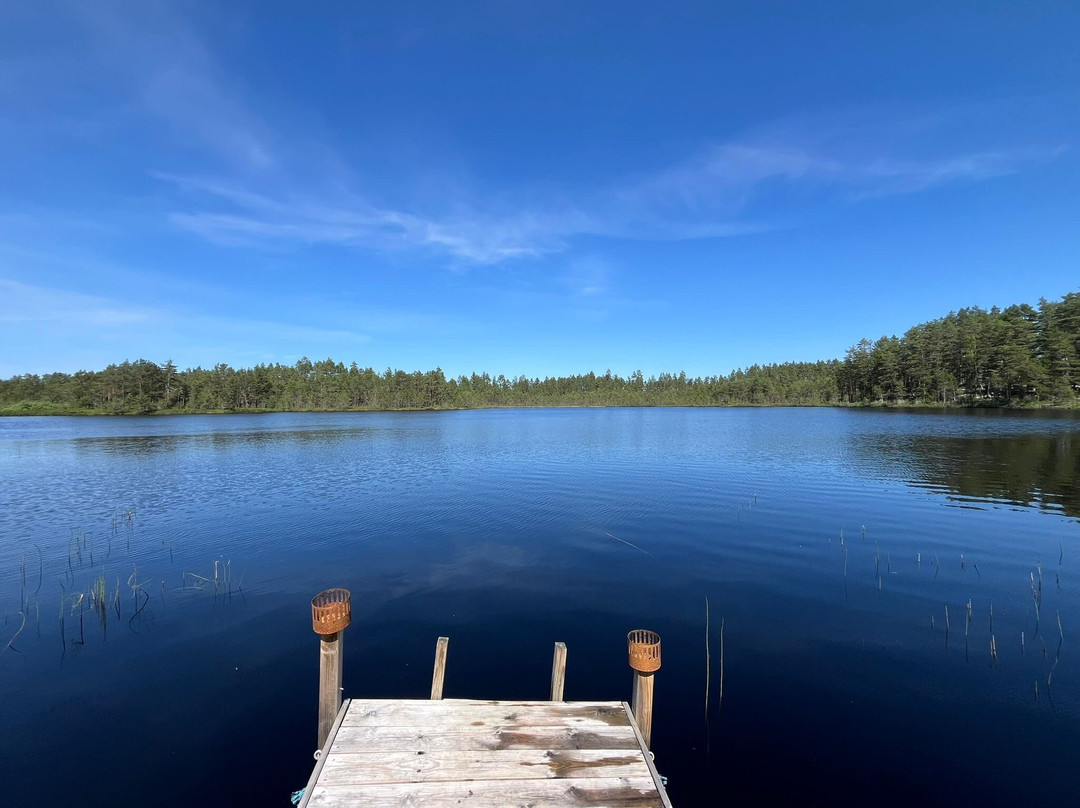 Wild Sweden-Skinnskatteberg必去景点
