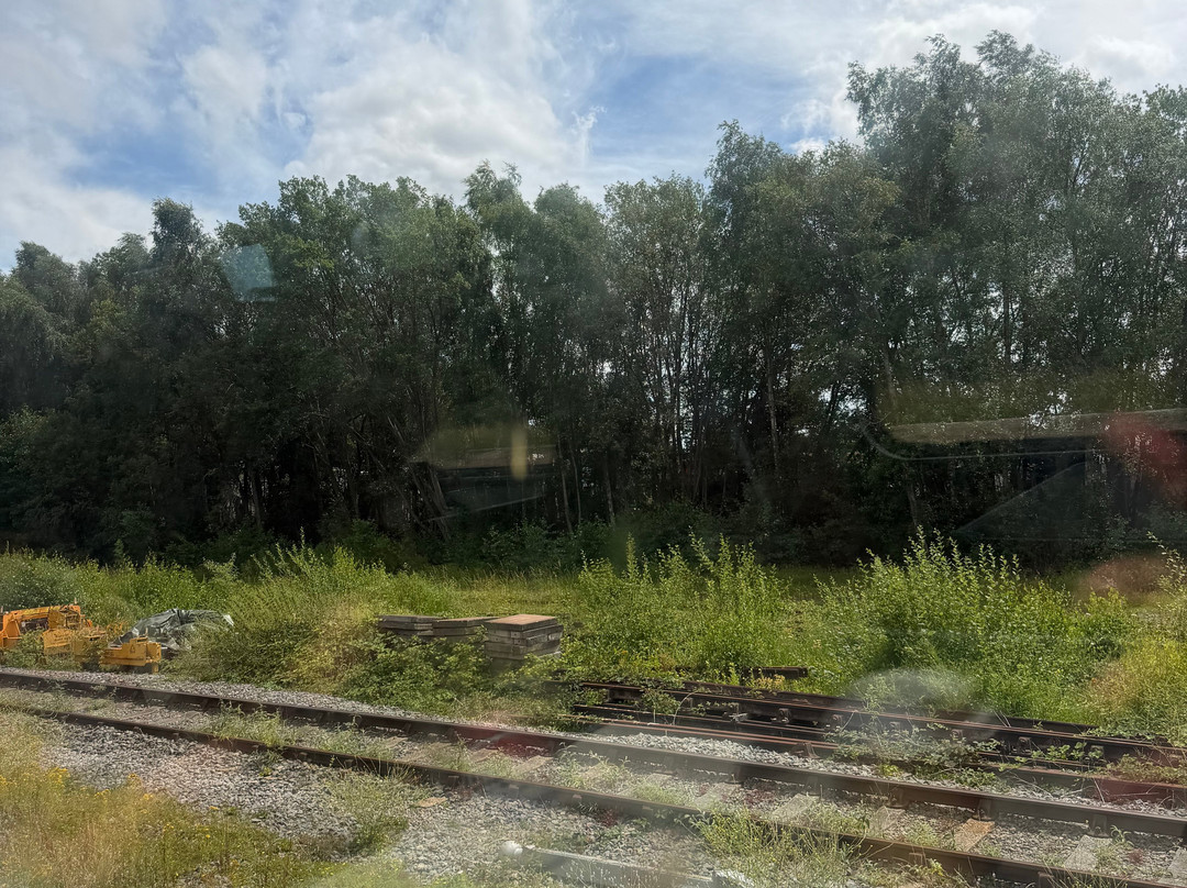 Dean Forest Railway-Lydney必去景点