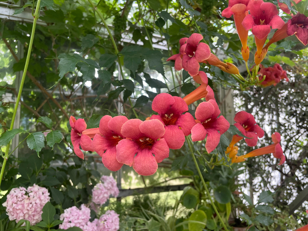West Green House-胡克必去景点