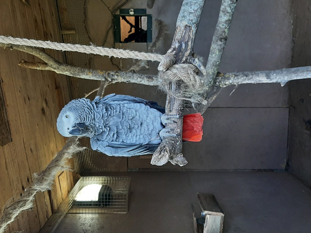 Northumberland Zoo-莫佩思必去景点