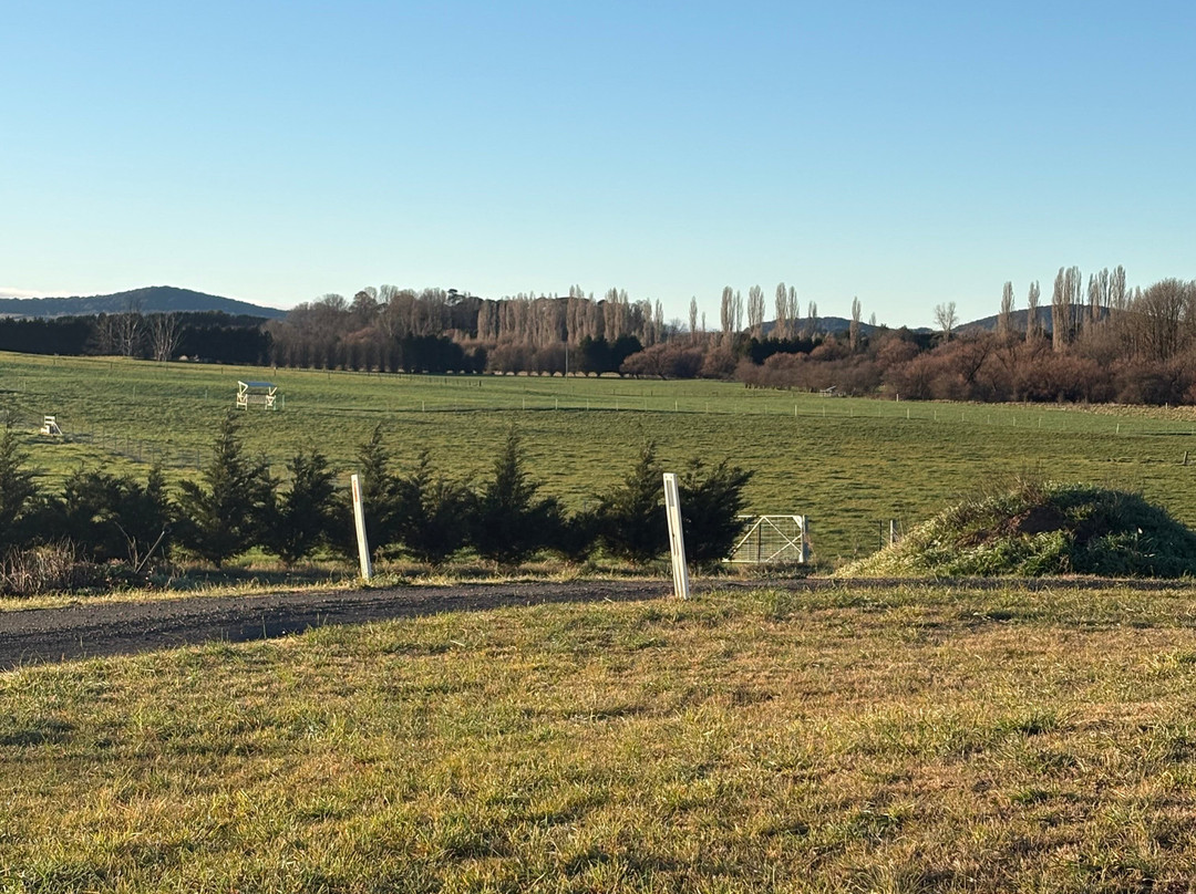Braidwood Colonial Motel主图