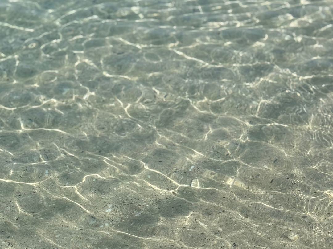 迪拜尼基海滩水疗度假村主图