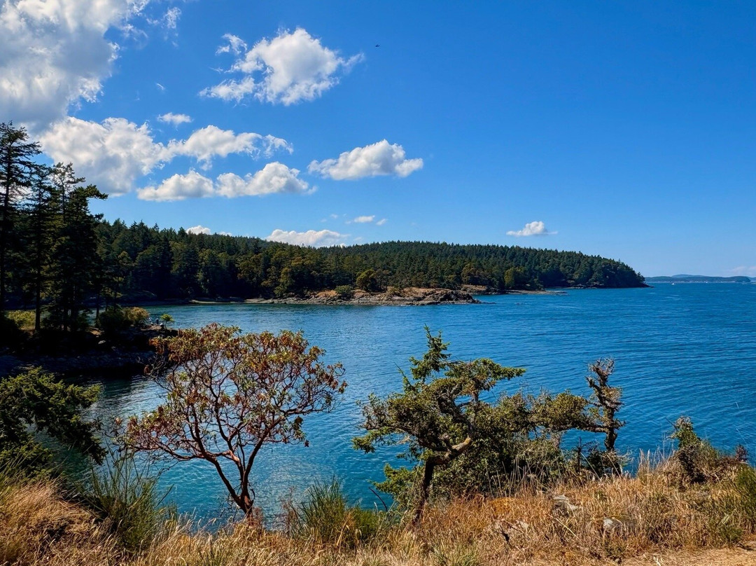 Ruckle Provincial Park-盐泉岛必去景点