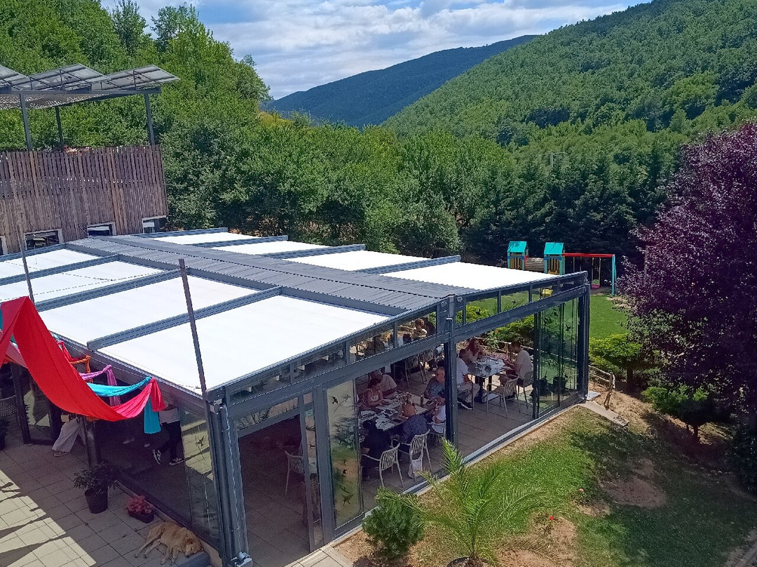 BEAR SANCTUARY Prishtina-普里什蒂纳必去景点