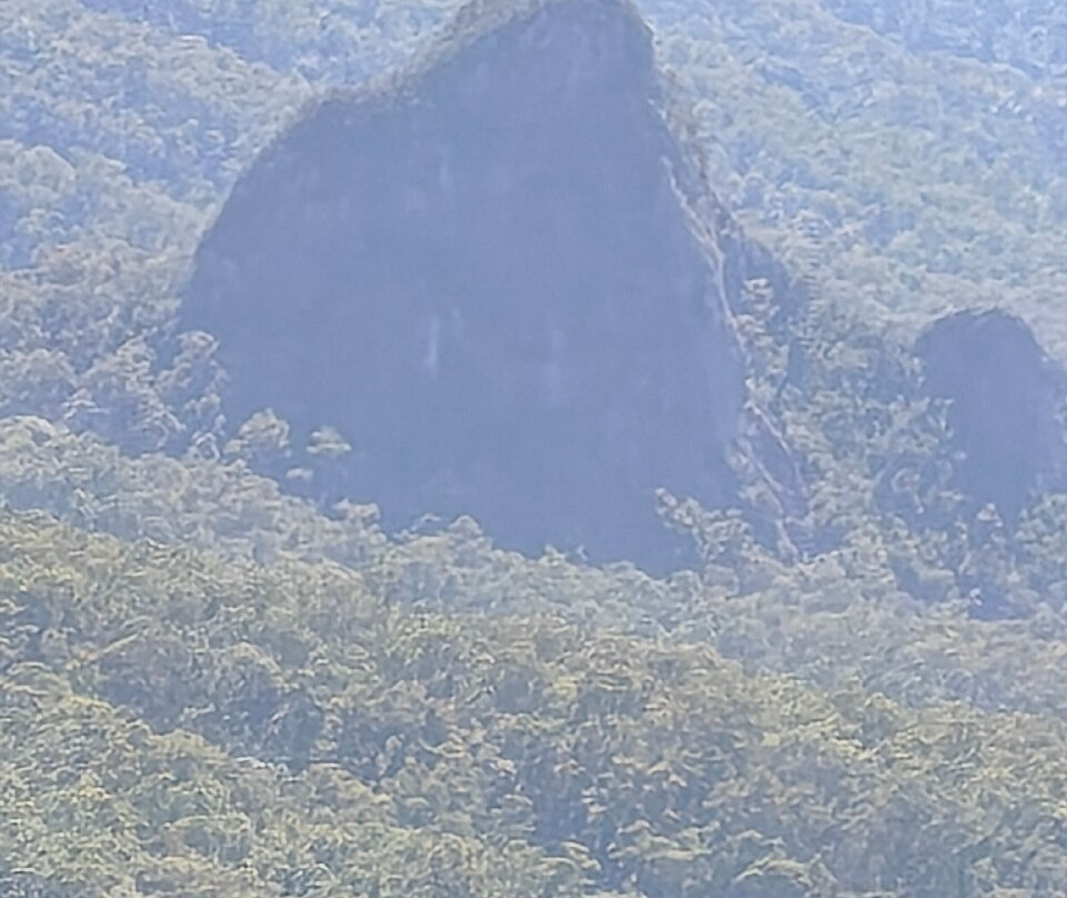 Bellbird Lookout & Circuit-Binna Burra必去景点