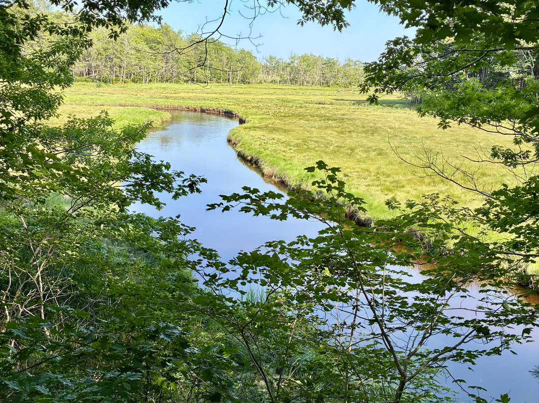Rachel Carson National Wildlife Refuge-韦尔斯必去景点