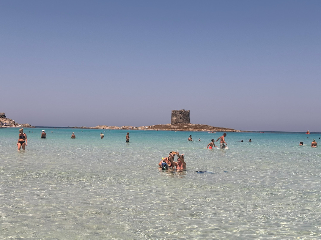 Torre della Pelosa-斯廷蒂诺必去景点