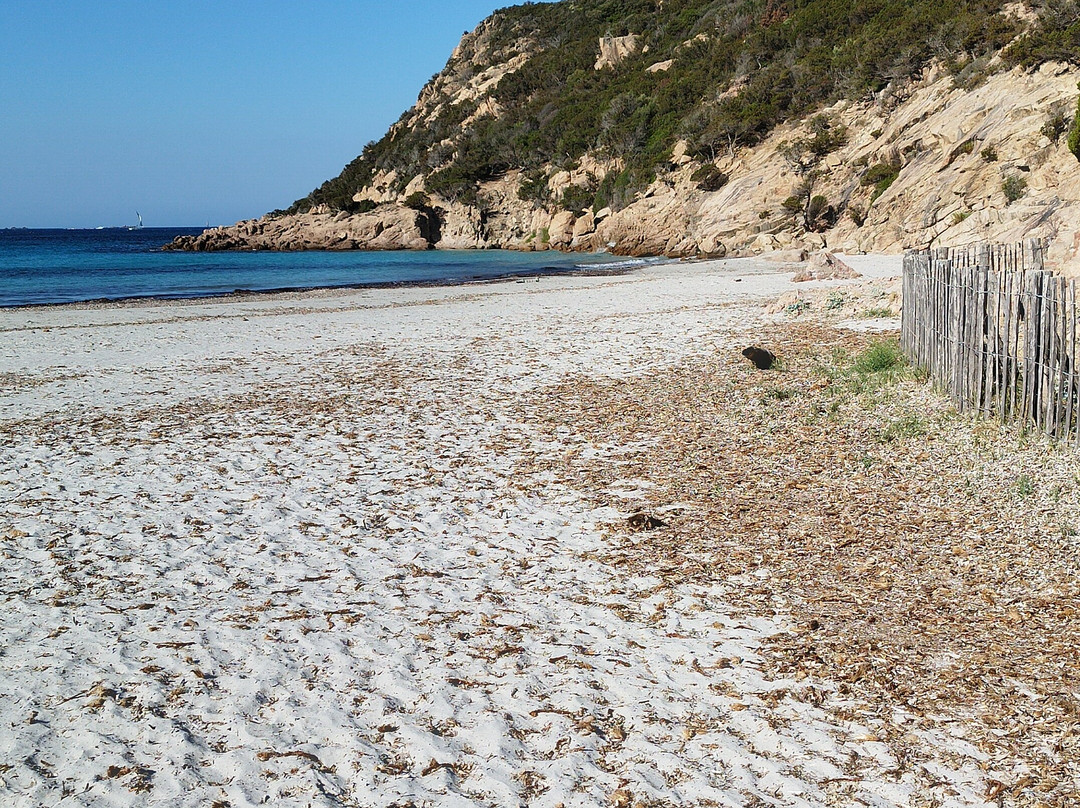 Plage De Roccapina-科西嘉必去景点