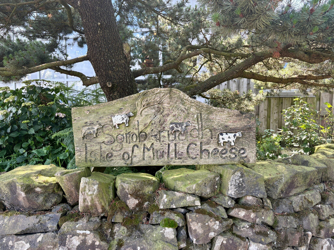 Isle of Mull Cheese-Tobermory必去景点