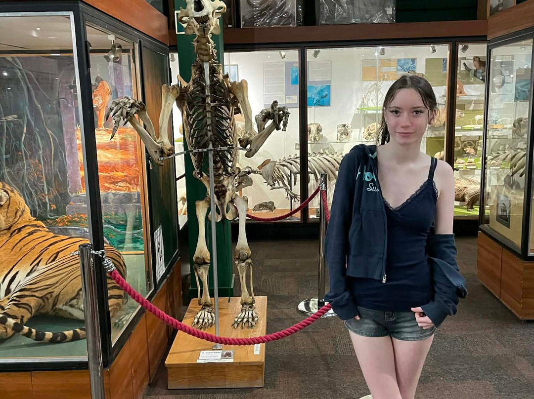 University of Aberdeen Zoology Museum-阿伯丁必去景点
