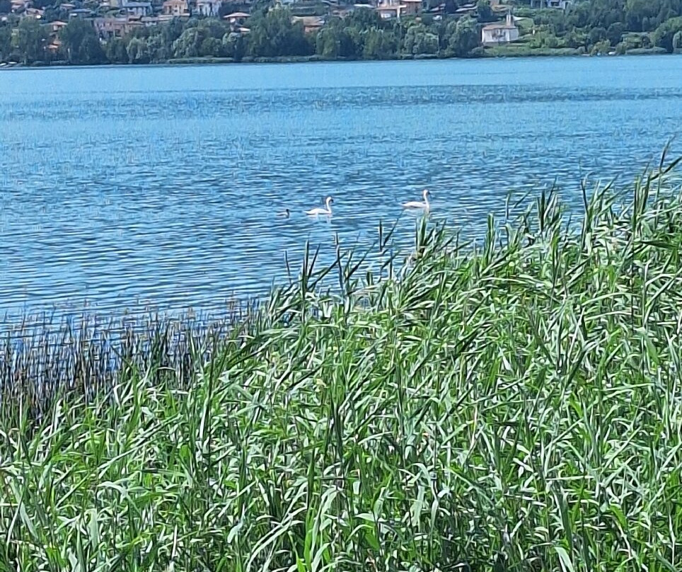 Lago di Pusiano-Bosisio Parini必去景点
