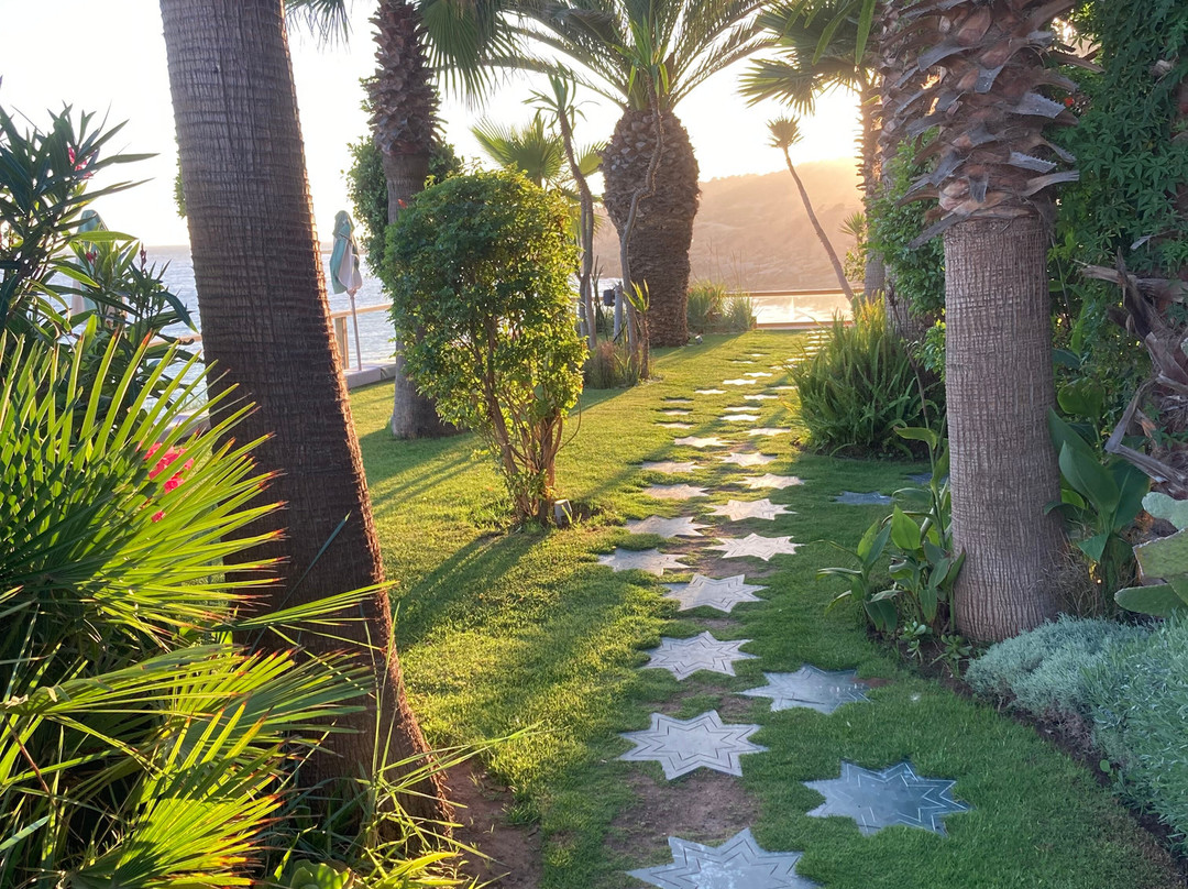 Amouage By Surf Maroc主图