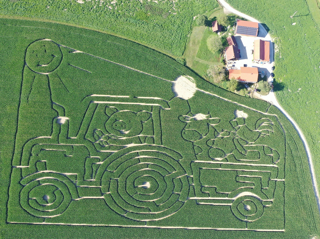 Hagers Maislabyrinth