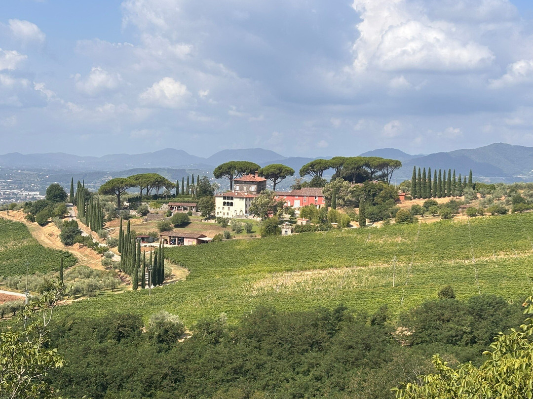 Tenuta di Valgiano-卢卡必去景点