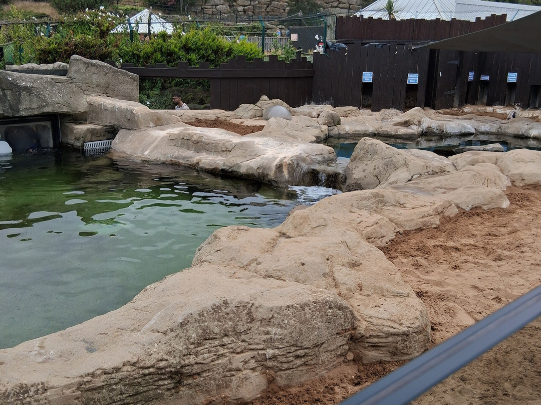 Sea Life Scarborough-斯卡伯勒必去景点