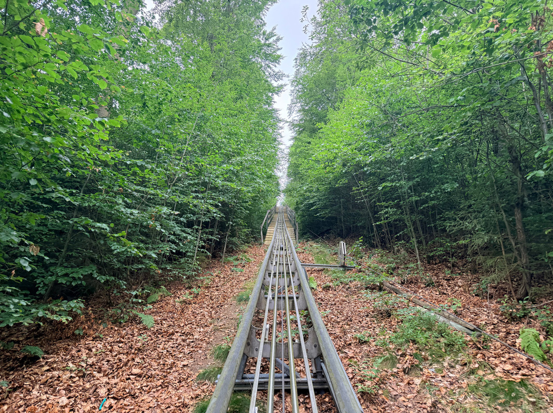 Rodelbahn am Erlebnisberg Sternrodt-Olsberg必去景点