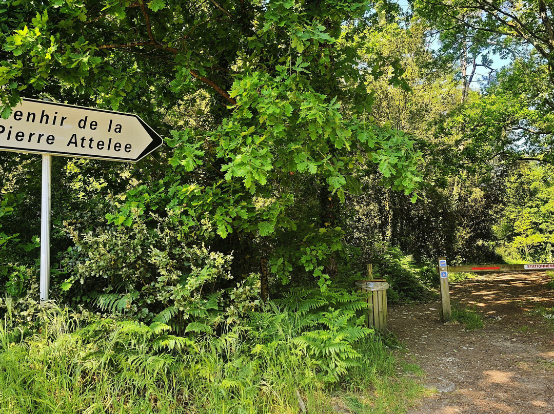 Menhir De La Pierre Attelée