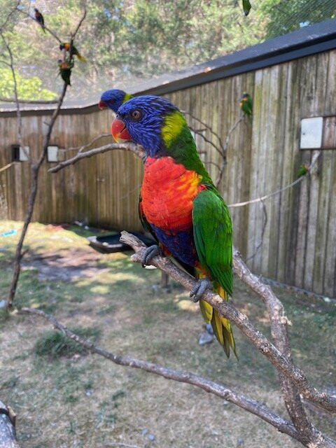 Zoo de Bordeaux Pessac-Pessac必去景点
