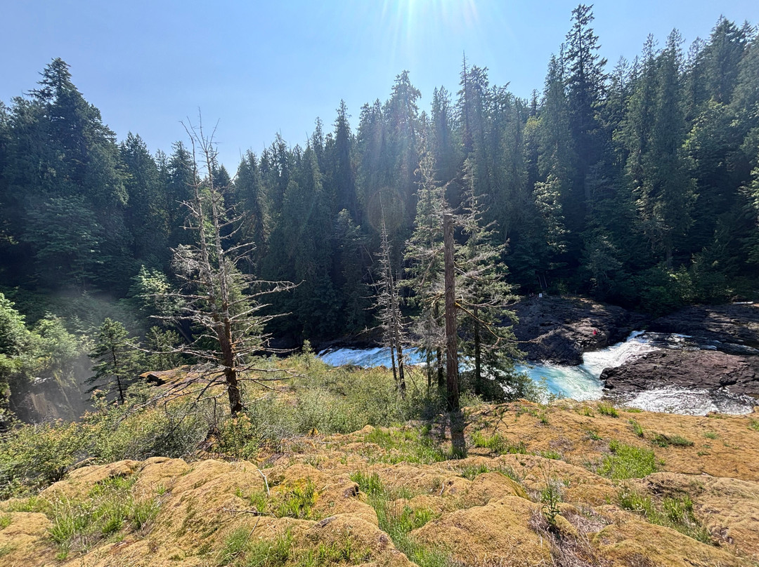 Elk Falls Suspension Bridge-坎贝尔里弗必去景点